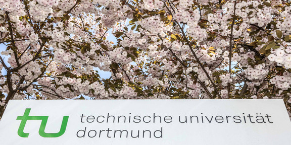 An information pillar of the TU Dortmund surrounded by blossoming cherry blossoms.
